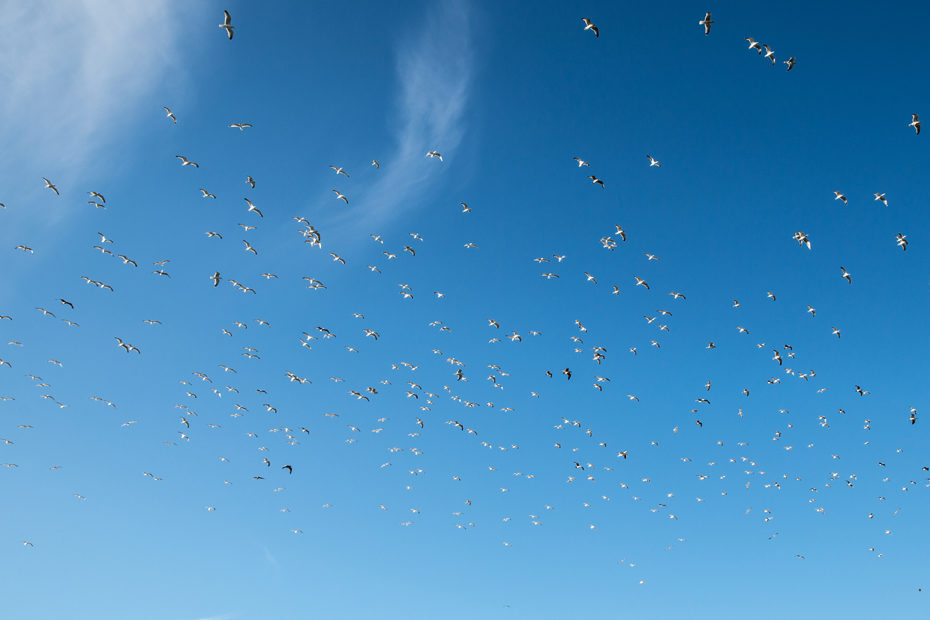 vol-bleu-Photographe-Brest-Quimper-Morlaix