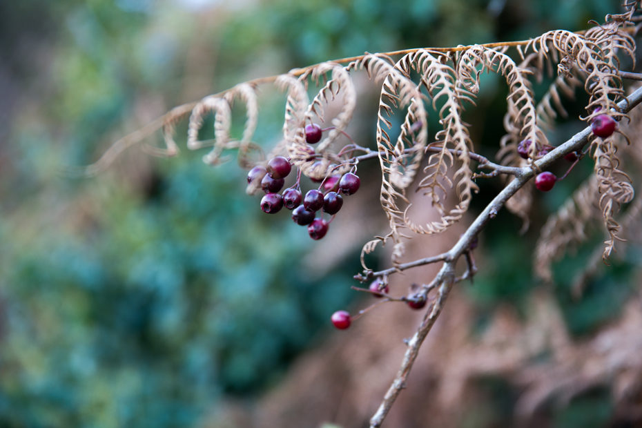 promenade-photographique-pointe-des-espagnoles-crozon